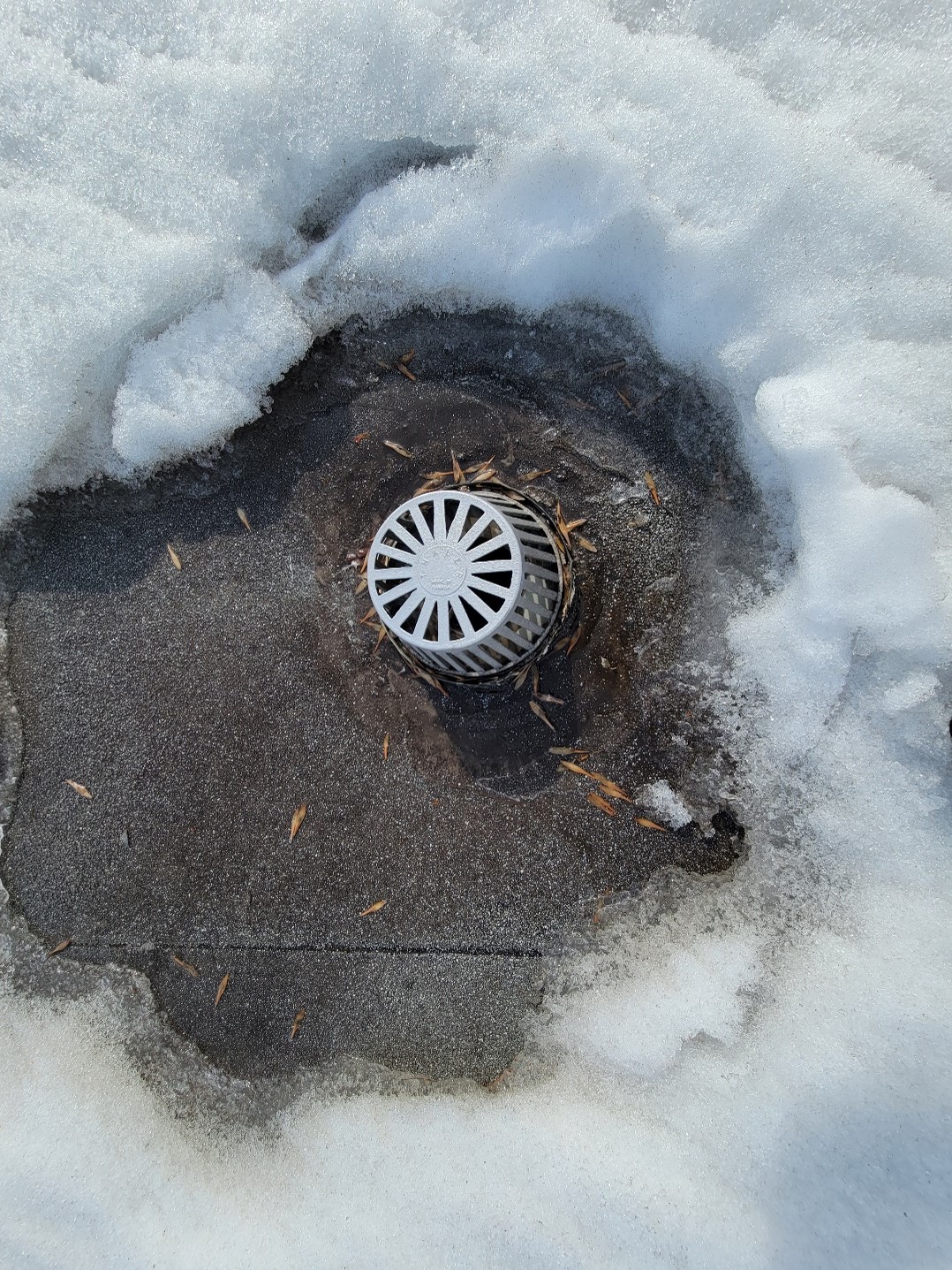 drain toit plat